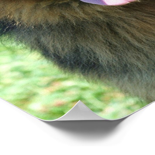 Duits poster Shepherd (Hoek)