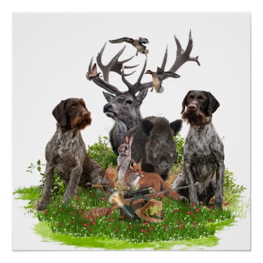 Duits Poster Wirehaire Pointer (GWP) Perfect Poster (Voorkant)