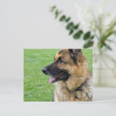 Duits Shepherd Profile Briefkaart (Staand voorkant)