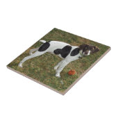 Duits_short_haire_pointer_puppy Tegeltje (Zijkant)