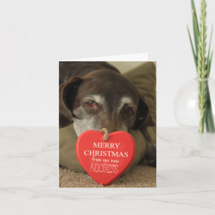 Duits Shorthaired Merry kerst Nieuw Adres Feestdagen Kaart