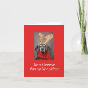 Duits Shorthaired Merry kerst Nieuw Adres Feestdagen Kaart