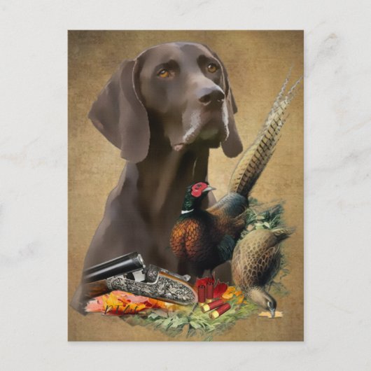 Duits Shorthaired Pointer GSP Briefkaart (Voorkant)