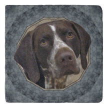 Duits Shorthaired Pointer klassieke Stone Trivet