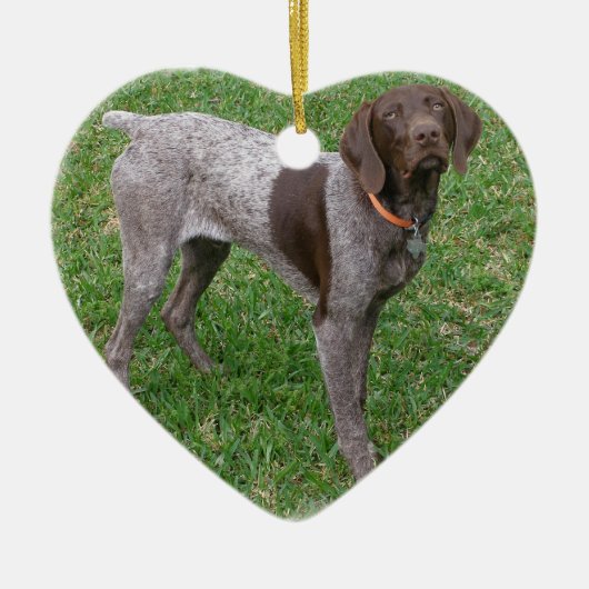 Duits Shorthaired Pointer Ornament (Voorkant)