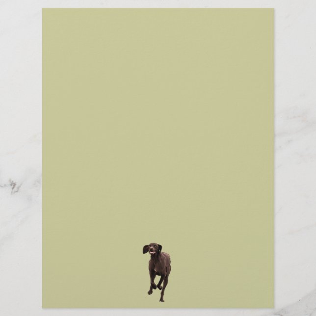 Duits Shorthaired Pointer Pet lover (Voorkant)
