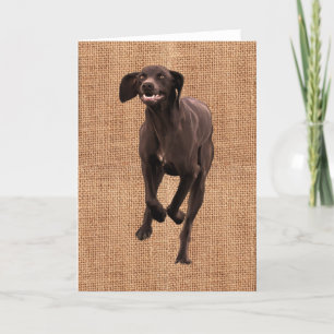 Duits Shorthaired Pointer Pet lover Kaart