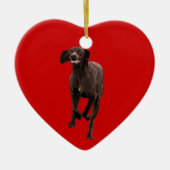 Duits Shorthaired Pointer Pet lover Keramisch Ornament (Voorkant)