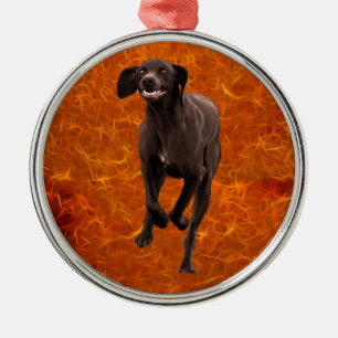 Duits Shorthaired Pointer Pet lover Metalen Ornament