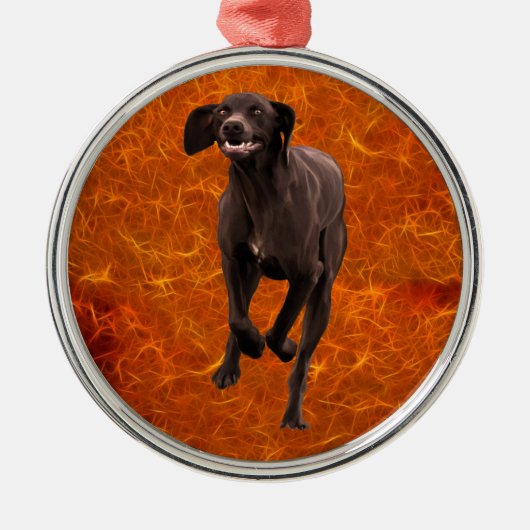 Duits Shorthaired Pointer Pet lover Metalen Ornament (Voorkant)