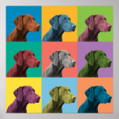 Duits Shorthaired Pointer Pop-Art Poster (Voorkant)