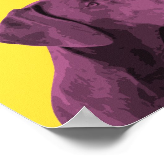 Duits Shorthaired Pointer Pop-Art Poster (Hoek)