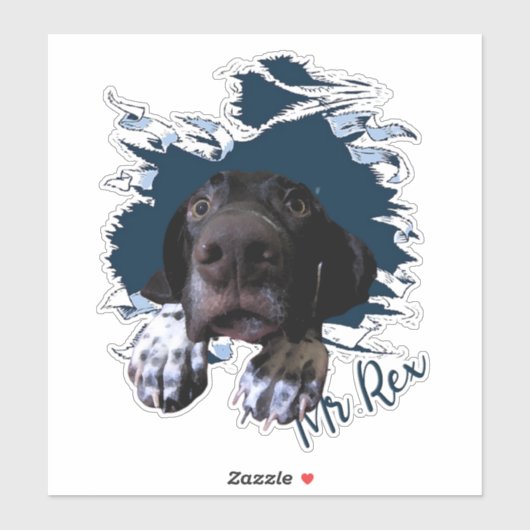 Duits Shorthaired Pointer Sticker (Vel)