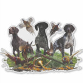 Duits Shorthaired Pointer Sticker (Voorkant)