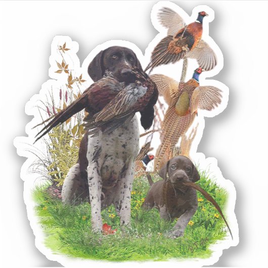 Duits Shorthaired Pointer Sticker (Voorkant)