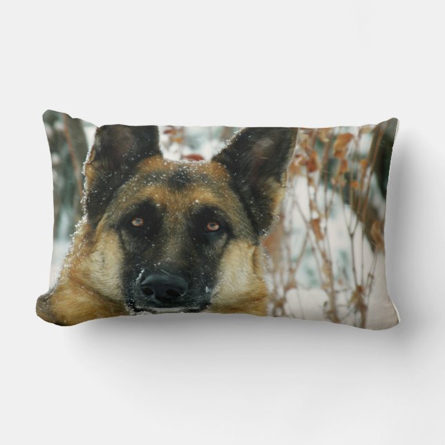 Duits Sierkussen Shepherd Kussen (Voorkant)
