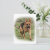 Duits Vrouw Shepherd "Gilla" Briefkaart (Staand voorkant)