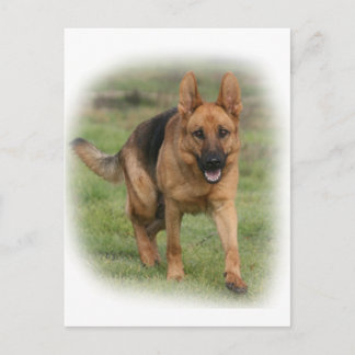 Duits Vrouw Shepherd "Gilla" Briefkaart