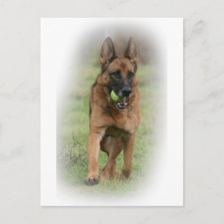 Duits Vrouw Shepherd "Vita" Briefkaart