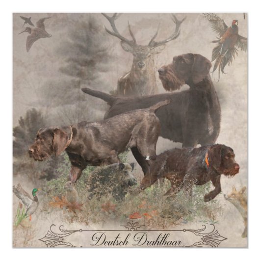 Duits wirehaire Pointer Tapestry Perfect Poster (Voorkant)