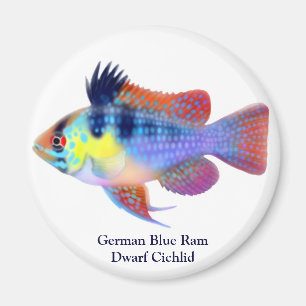 Duitse Blauwe Ram Dwerg Cichlid Magnet Magneet