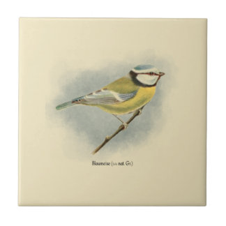 Duitse Blue Tit Illustration Tegeltje