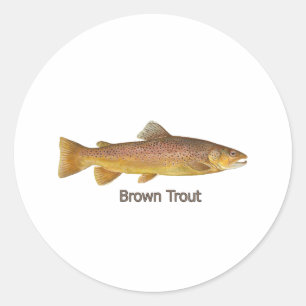Duitse bruine forel ronde sticker