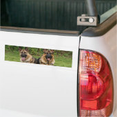 Duitse Bumpersticker Shepherd (Op Truck)