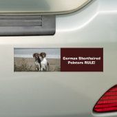 Duitse Bumpersticker Shorthaired Pointer (Op auto)