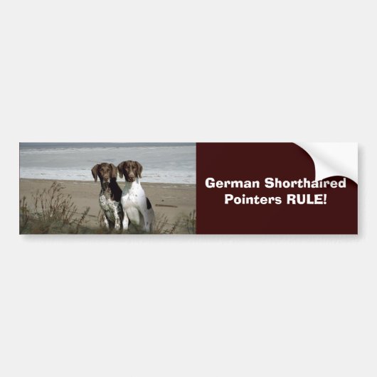 Duitse Bumpersticker Shorthaired Pointer (Voorkant)