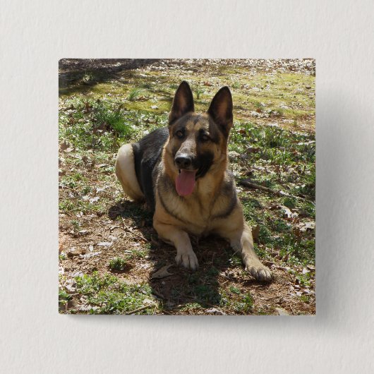 Duitse Button Shepherd (Voorkant)