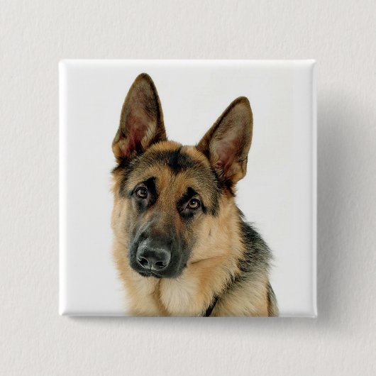 Duitse Button Shepherd Dog Pin (Voorkant)