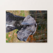 Duitse Dog. Legpuzzel (Horizontaal)