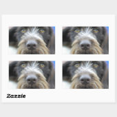 Duitse draad haired pointer Stickers (Vel)