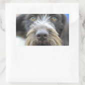 Duitse draad haired pointer Stickers (Tas)