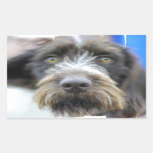 Duitse draad haired pointer Stickers