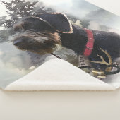 Duitse draadaanwijzer, GWP Sherpa Deken (3/4)