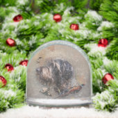 Duitse draadharige aanwijzer, jacht sneeuwbol (Kerstmis)