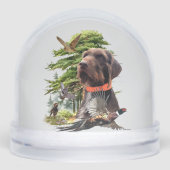 Duitse draadharige aanwijzer, jacht sneeuwbol (Voorkant)