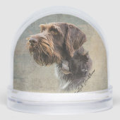 Duitse draadharige aanwijzer, jacht sneeuwbol (Voorkant)