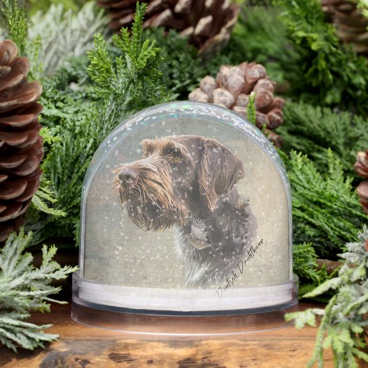 Duitse draadharige aanwijzer, jacht sneeuwbol (Winter)