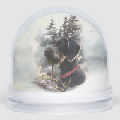 Duitse draadharige aanwijzer, jacht sneeuwbol (Voorkant)