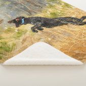 Duitse Draadharige Pointer Sherpa Deken (3/4)