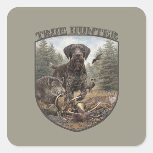 Duitse Draadharige Pointer Vierkante Sticker (Voorkant)