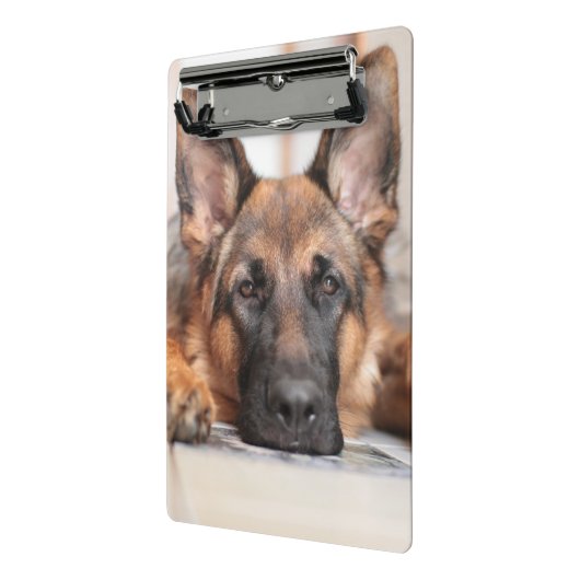 Duitse foto Shepherd/Dog Mini Klembord (Angled2)