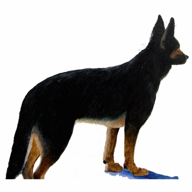 Duitse foto van Shepherd Staand Fotobeeldje (Voorkant)