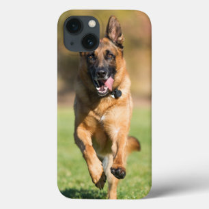 Duitse herder aan het rennen iPhone 13 hoesje