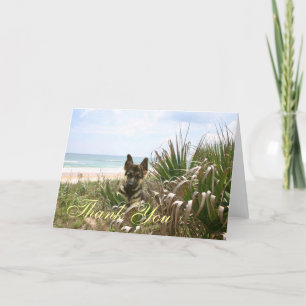 Duitse herder bedankt kaart Beachgrass