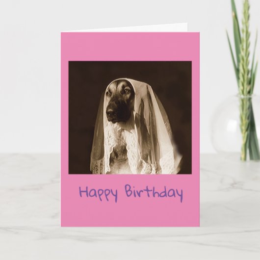 Duitse herder Birthday kaart (Voorkant)