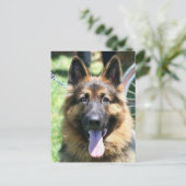 Duitse herder briefkaart (Staand voorkant)